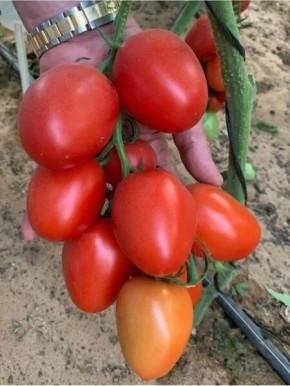 ����� ������� ���������: ��� ��������� �������� ����� ������� ������