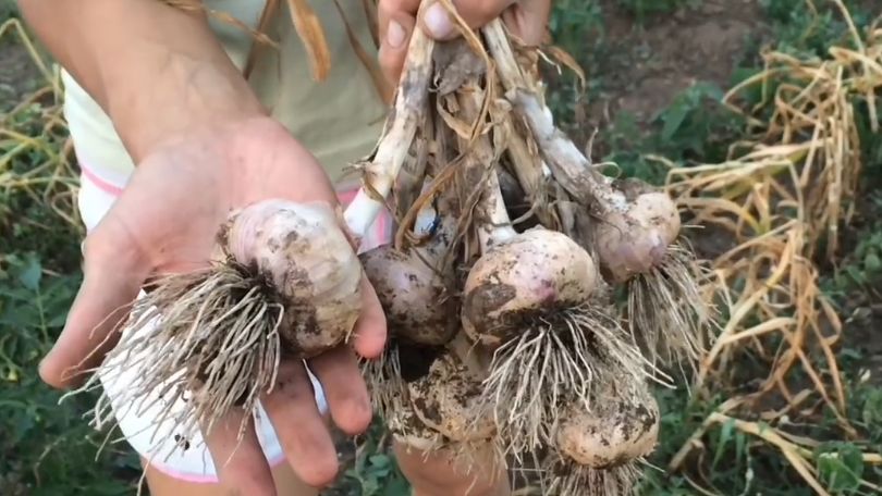 ��� ��������� ������� ������ ������: ������ ��� ��������� ������