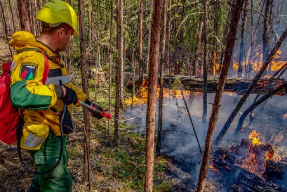 За прошедшую неделю в Хабаровском крае ликвидировали 9 лесных пожаров