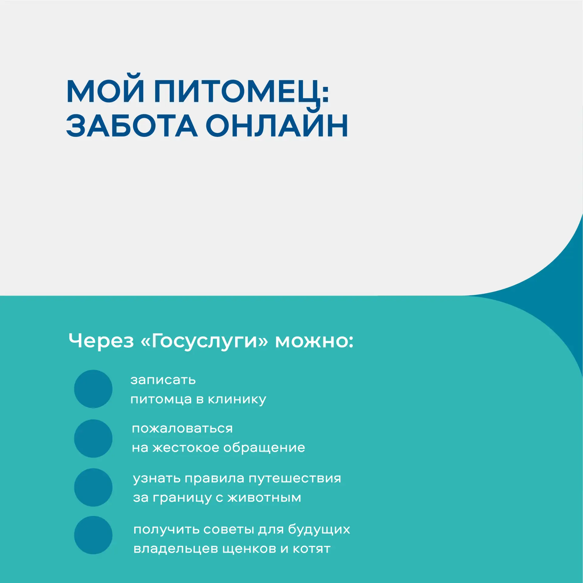 «Жизненные ситуации» на Госуслугах помогают в любой ситуации «Жизненные ситуации» на Госуслугах помогают в любой ситуации