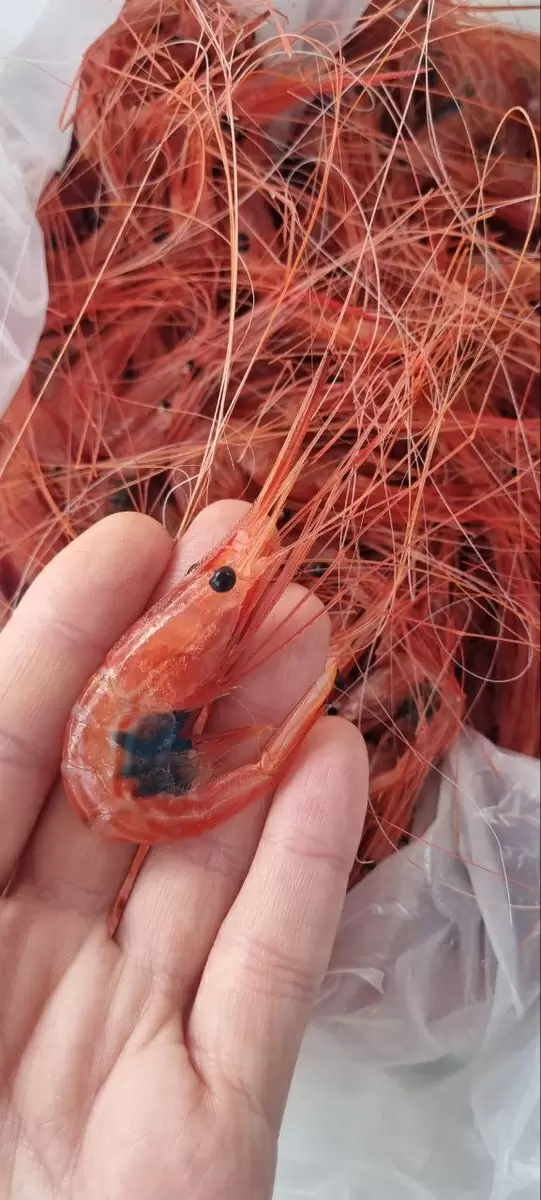 Как провести день заготовок: все о рыбных наслаждениях