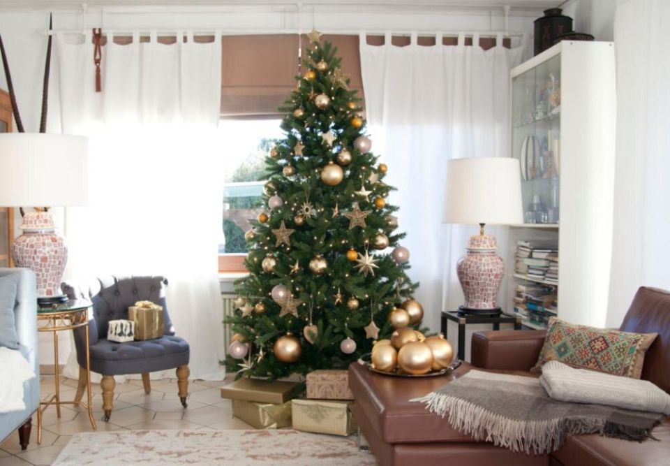 ��� ����������� ��� � ����������: ������, ������� �������� ��������� ����