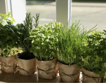 ��� ��������� ������ � ������� ������ �� ������ ����������