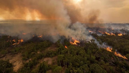 В Хабаровском крае 15 апреля горят почти четыре тысячи гектаров тайги