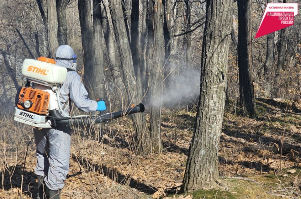 � ����������� ���� ������ ���������� ��������� ������ � ������� �� ������