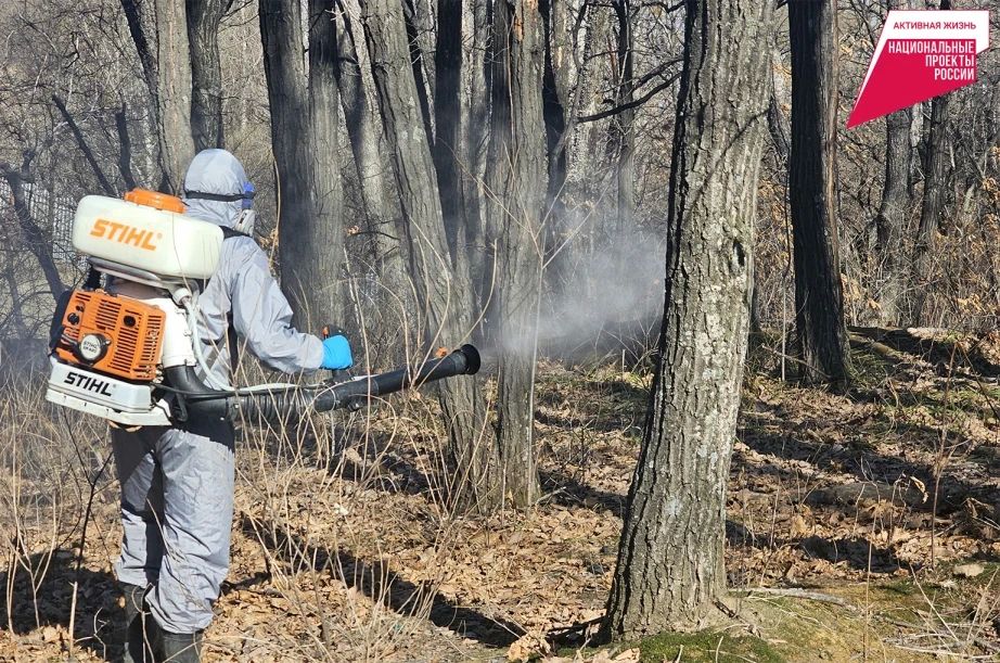 �������������� ��� ������� � ����������� ���� � ���������� ������ ������