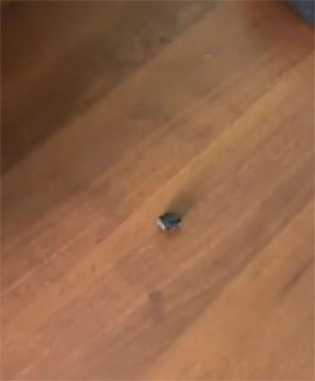 ���������� ����������� ��������� ������� � ������������� ����������