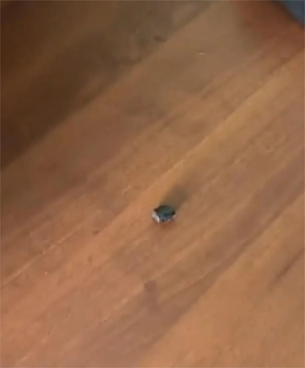 Хабаровске полицейские задержали мужчину с синтетическим наркотиком