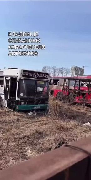«Кладбище списанных автобусов» обнаружил блогер в Хабаровске