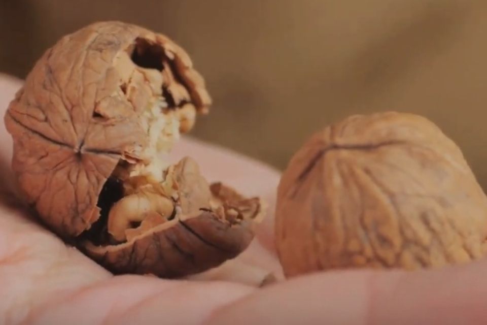 �������� ������ ��� ������ ����������