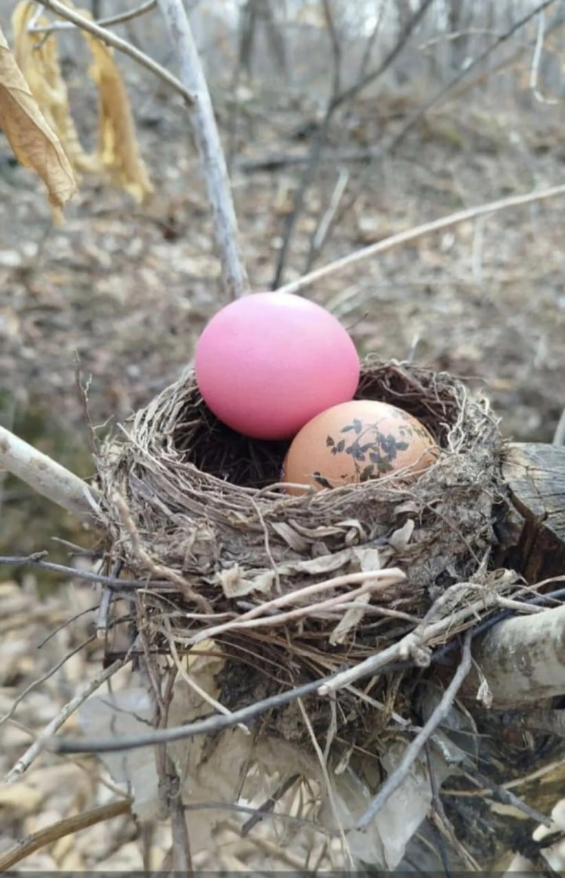 Погода в Хабаровском крае. Хабаровск