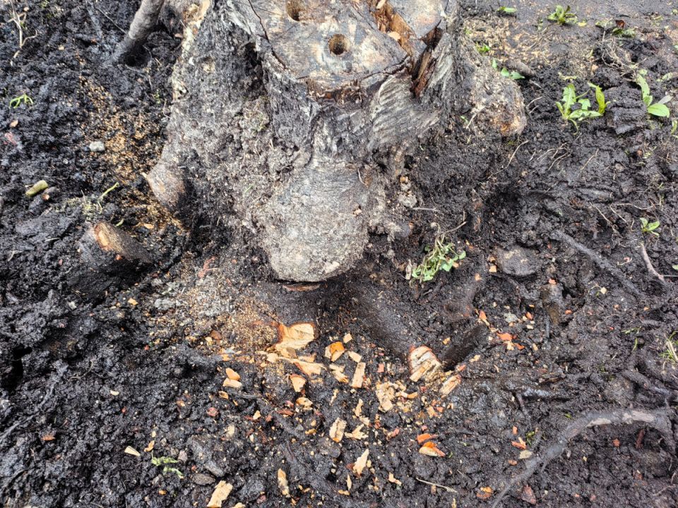 ��� ���������� ���� � �������� ������� ������� ���� ��� ������ ������