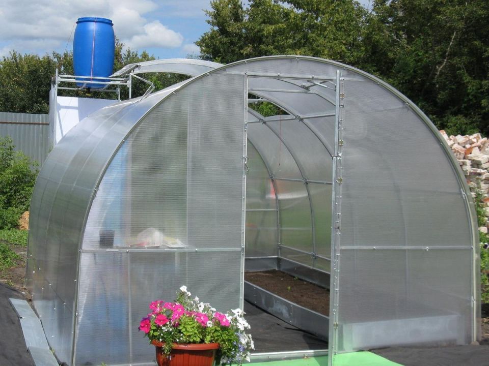 ��� ������� ������� ����� � ��������: 5 ������� ������� ��� ��������