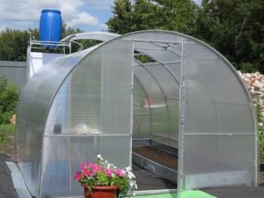 Как создать теплицу легко и бюджетно: 5 простых решений для дачников