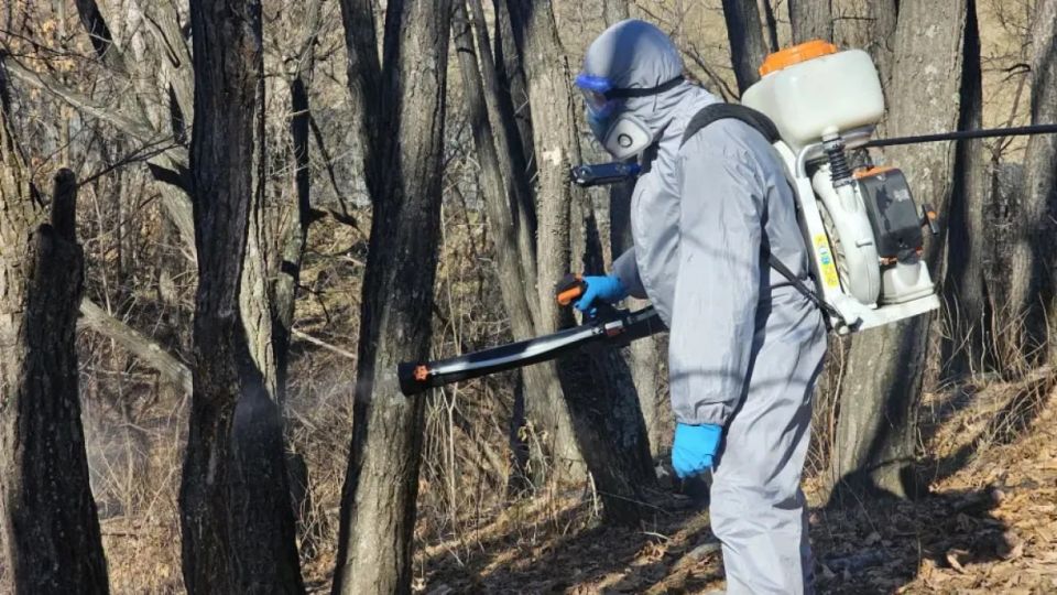 ����� � ������ ������������ ���� ������� � ����������� ���������