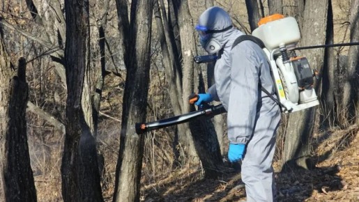 Парки и скверы Хабаровского края готовят к акарицидной обработке