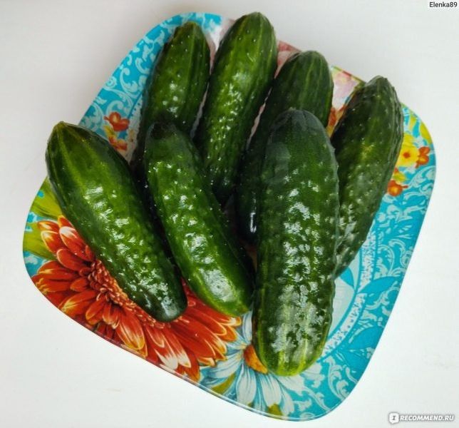 ��������� ������ �������: ��������� ������� ��� ������ �������