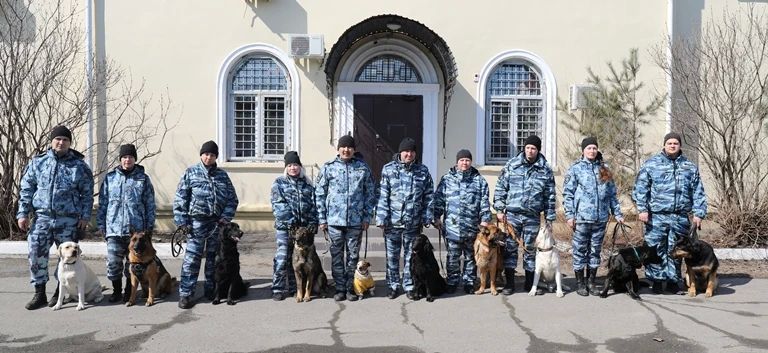 ��������������� ������������ ����������� ������� ������� � ������-������������ ������