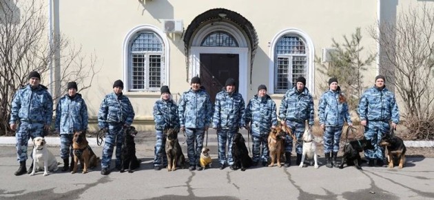 ��������������� ������������ ����������� ������� ������� � ������-������������ ������