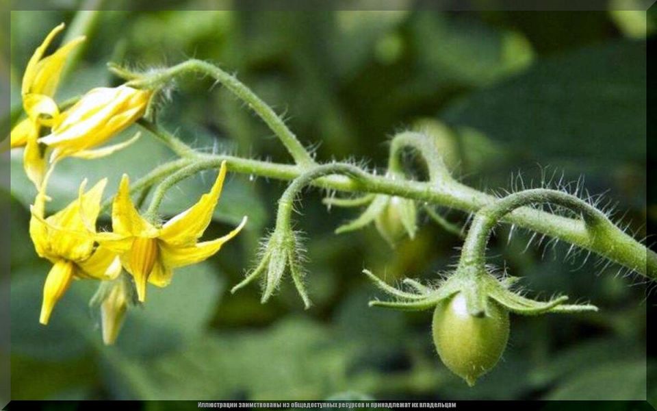 ������ � ����: �������� ������������ ��� ��������� �����