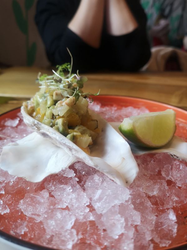 �������� "�����-�������" � �������