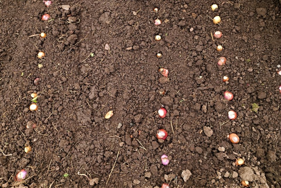 ��� ������ ��������� ����-����� ���������� ����� ������ ������