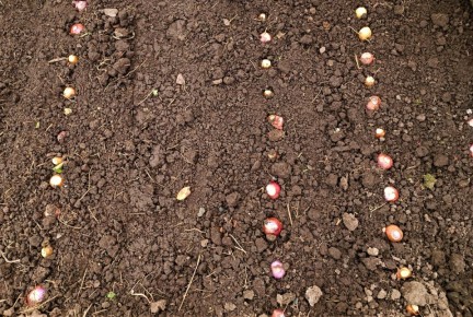 ��� ������ ��������� ����-����� ���������� ����� ������ ������