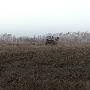 ������������� ���� �������� �������� ��������� ���� �������������������� �������