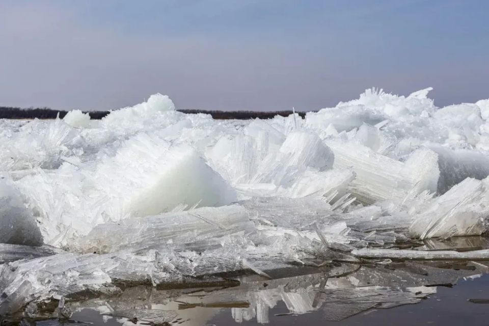 ������� � ����������� ���� ���� � ����������� ����������� ��������