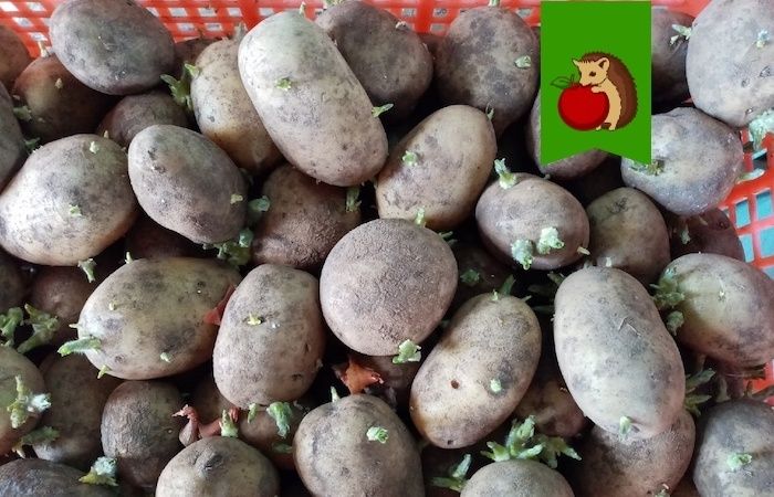 ��� ����������� ��������� � �������: ��� �������� ����� ��� ��������� ������