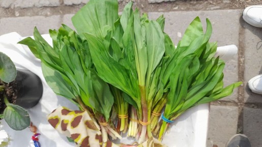 �������� ���������: � ���������� ��������� ������ �������