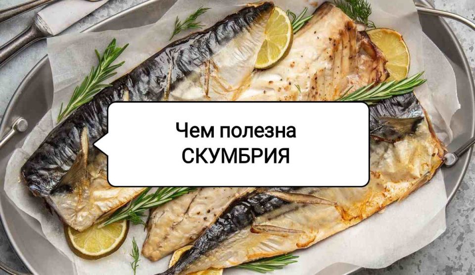 ��������: ������������ ��������, ������� ������ ���� � ����� ����