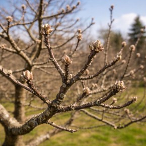 ��������� � ������: �������� ������ �������� ���������