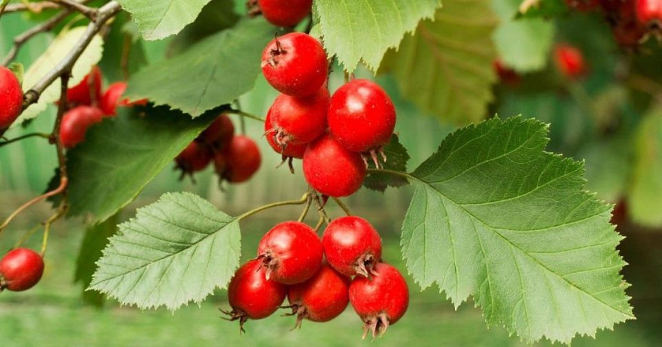 ������� ������ � ���������� � �������: ��� ��������� �������� ������