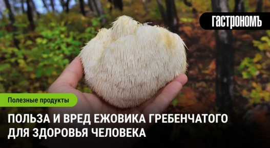 ����-�����: ��� �� �������� ������ � ��������