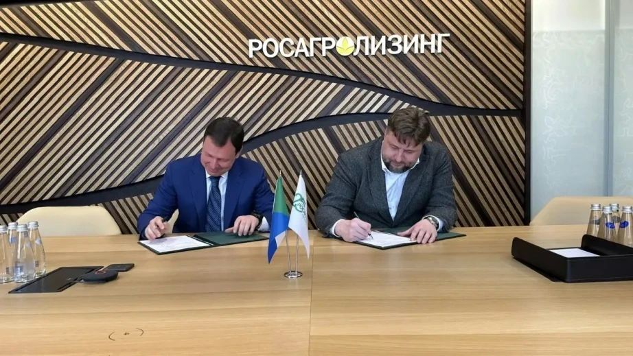 �������-��������������� �������� �������� � ����������� ����