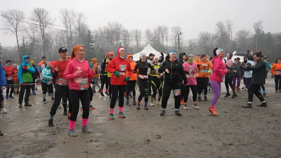 � ����������� ���� ������ ��������� ������� �����