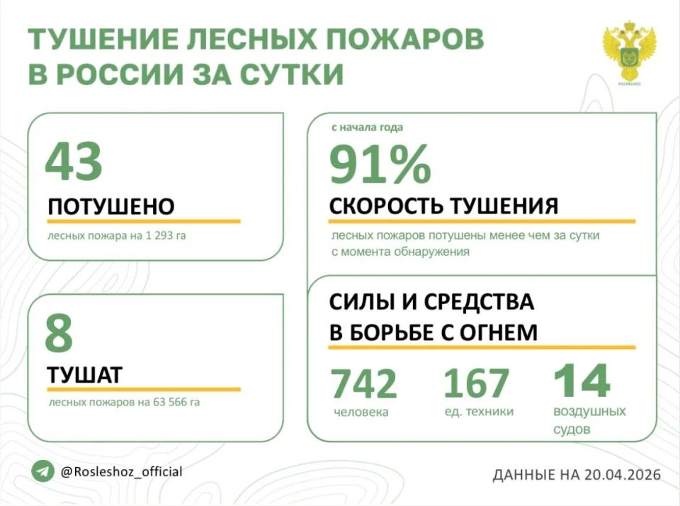 �� ��������� ����� � 12 �������� ������ �������� 43 ������ ������