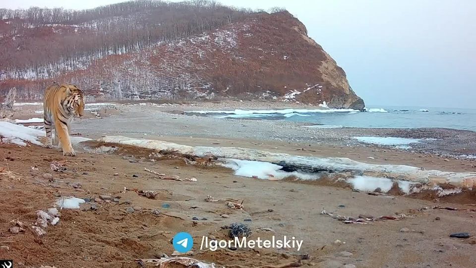 ��������� ����� ������� �� ���������� �����