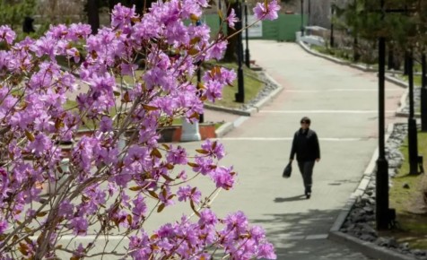 ������� ��������� � ���� ���� ������� � ������� ���� ������ �������� ��������