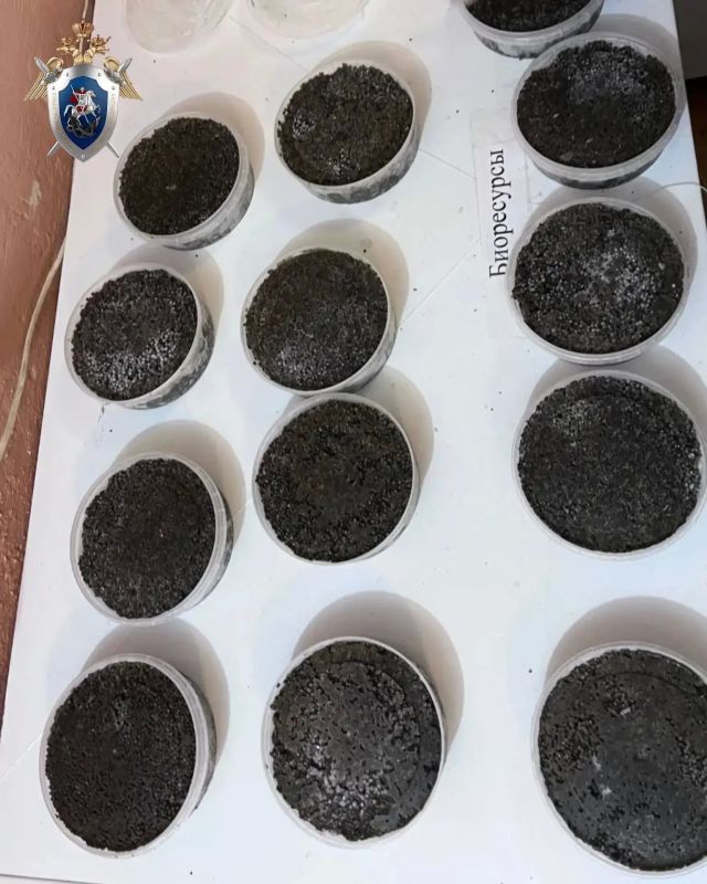 � ������ ������� ���� ������� ������� �������� �� ���������� ������������, �������� � ��������� ����, � ����� ���� ������ �����