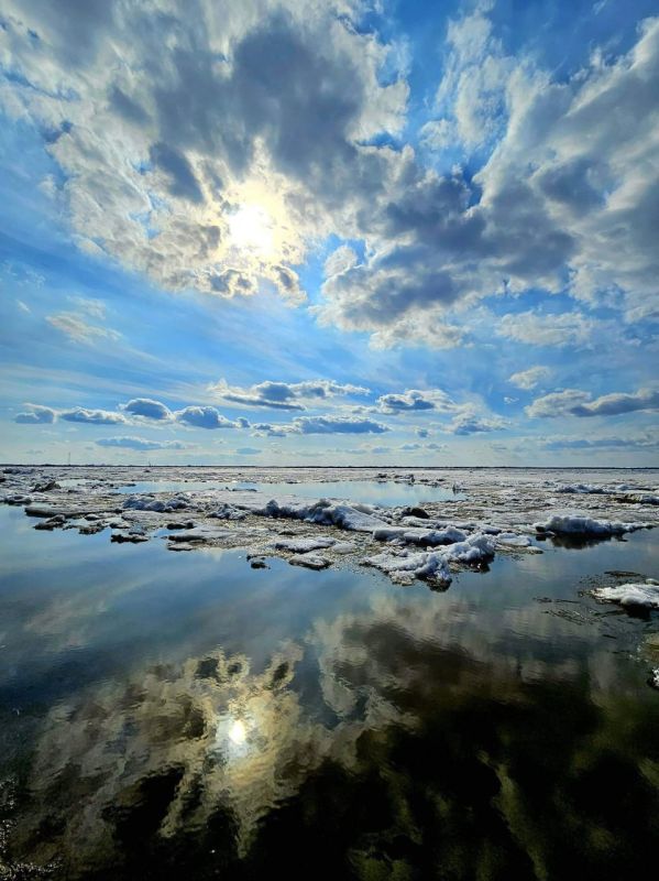 ������ � ����������� ����. ���������