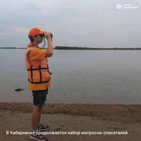 � ���������� ������������ ����� ��������-����������