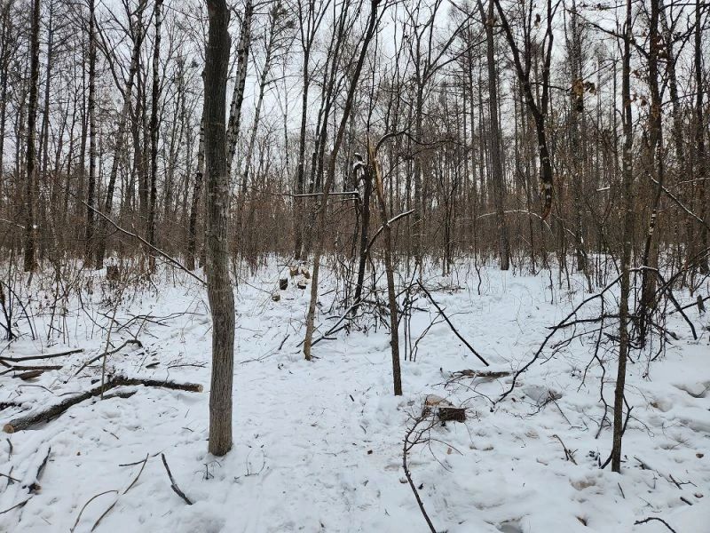 ������������ ������� ������������ ������ ���������� � ��� ��������� ���� � ���������� ����� ������ ���������� � ������� ����� 1 ��� 300 ����� ������