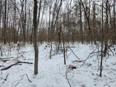 ������������ ������� ������������ ������ ���������� � ��� ��������� ���� � ���������� ����� ������ ���������� � ������� ����� 1 ��� 300 ����� ������