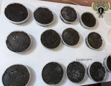 ������ ���� ��������� ������ ���� ������� ������������ ����