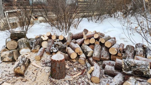 ����� �������� ������������: � ����������� ������ ��������� �������������� � ���������� �����