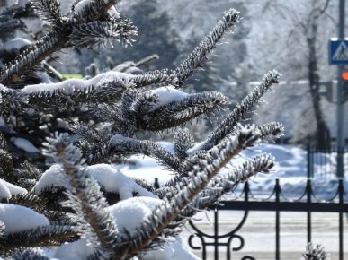 ���������� ������: ��������� �������� ������