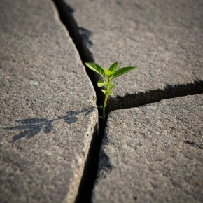 ����� ��� ��������� ���������: ��������� ����� ���������� �����