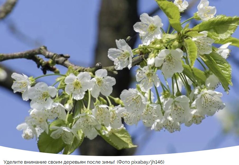 �������� ���� �� ������: ������� ��� �������� ������